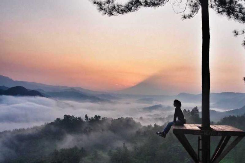 Bukit Pentulu Indah Tempat Alternatif Berburu Sunrise Di Kebumen