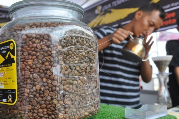 Aroma Tembakau Dalam Seduhan Kopi Arabika Temanggung