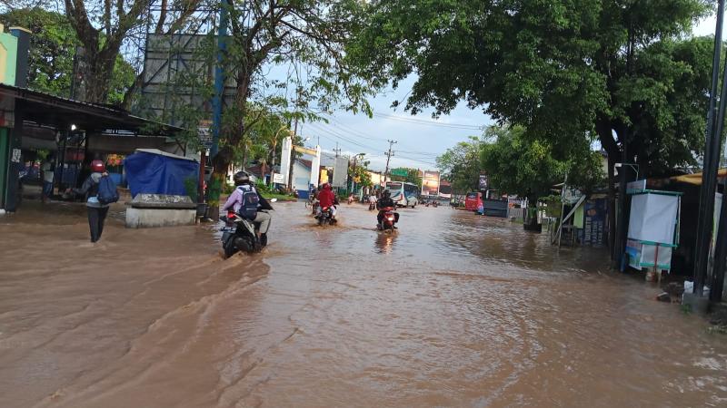 Banjir Bandang Pati Hanyutkan Puluhan Rumah, Begini Respons Pemerintah