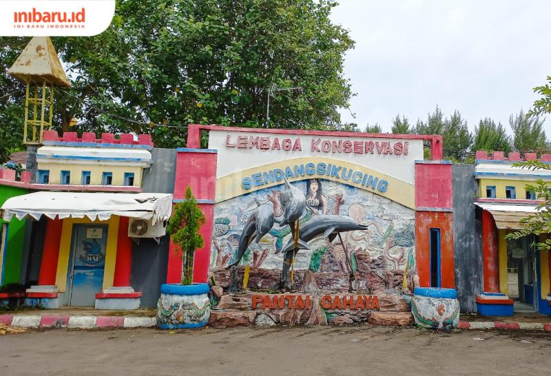 Bersua Burung-Burung Eksotis dan Lumba-Lumba Atraktif di Pantai Cahaya