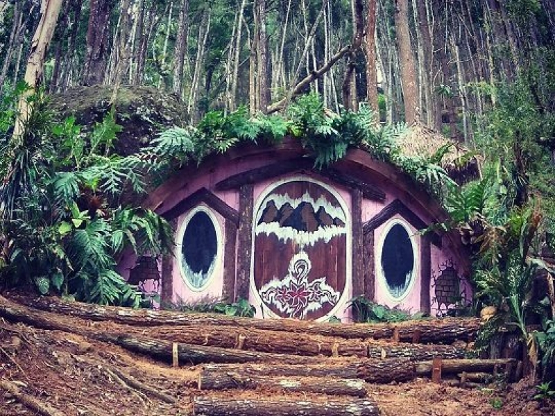 Yuk ke Rumah Hobbit di Antara Rimbunan Pinus di Bantul